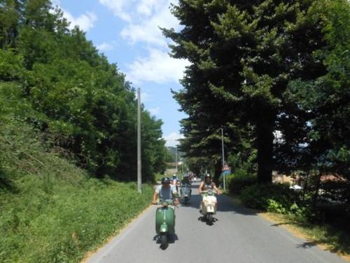 Barga (54)