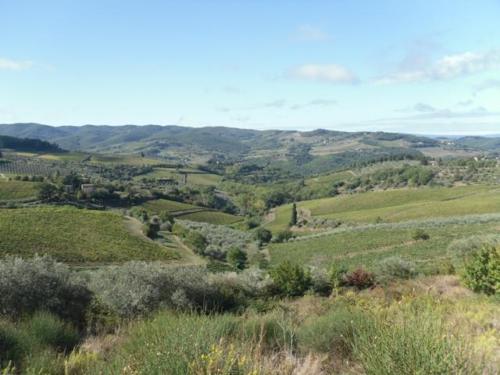 Raduno Greve (9)