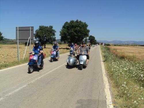 Gavorrano (146)