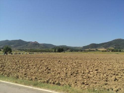 Gavorrano (148)