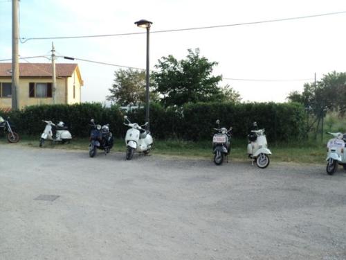 dibuioinvesparid31
