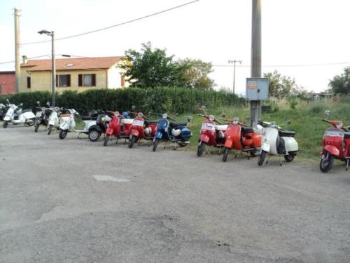 dibuioinvesparid36