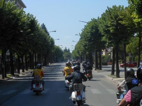Sedico (122)
