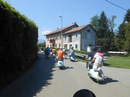 Sedico (135)