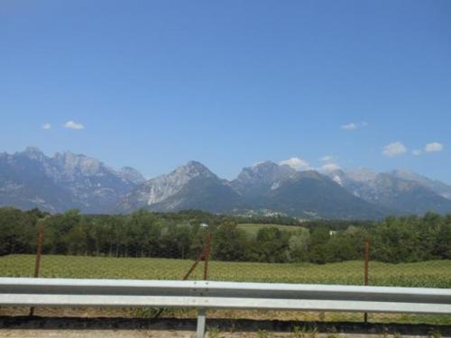 Sedico (137)