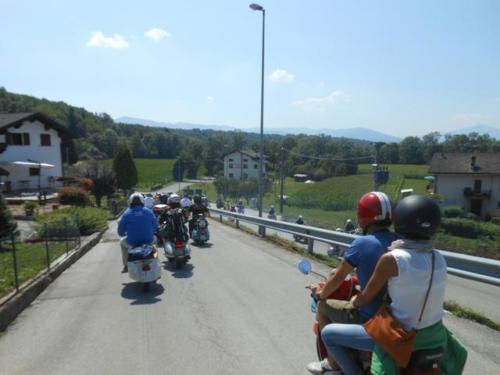 Sedico (149)