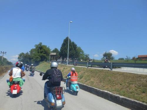 Sedico (150)