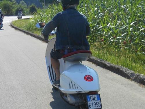 Sedico (33)