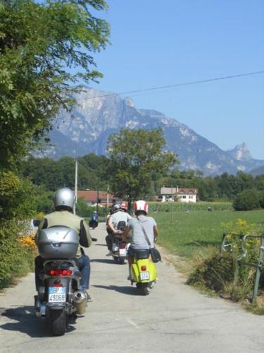 Sedico (40)