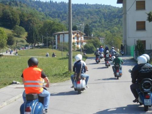 Sedico (50)