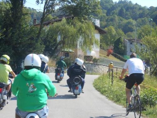 Sedico (53)