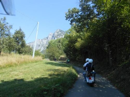 Sedico (65)