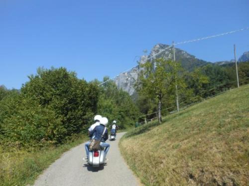 Sedico (66)