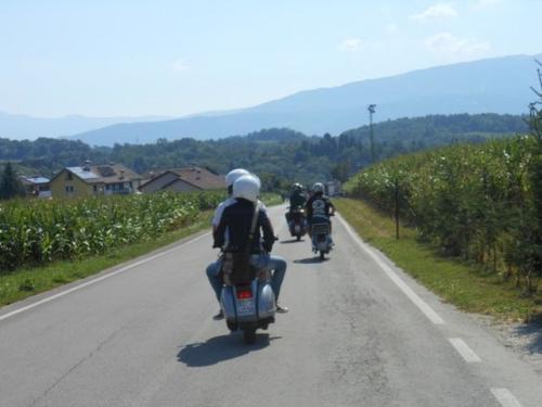 Sedico (69)