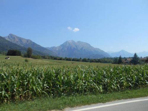 Sedico (70)
