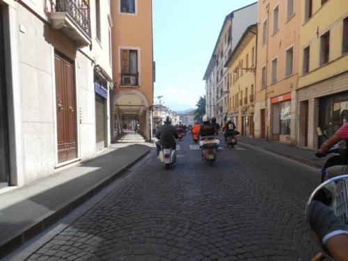 Sedico (83)