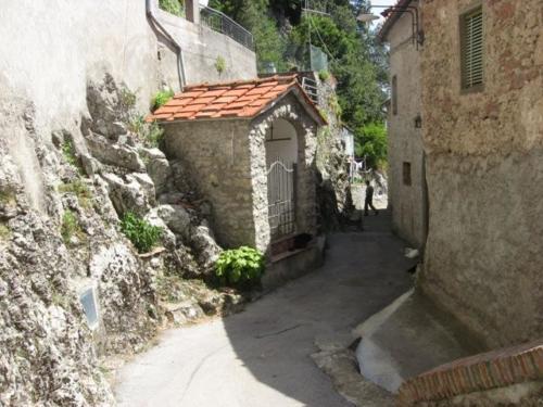 Gitagarfagnana (7)