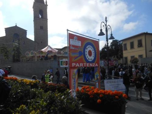 Arezzo (02)