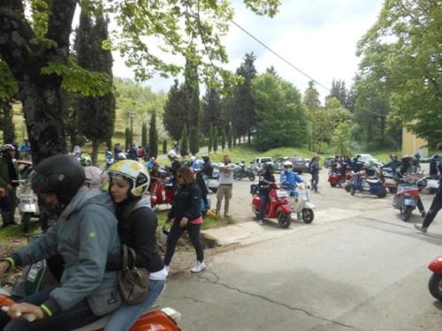 Arezzo (100)