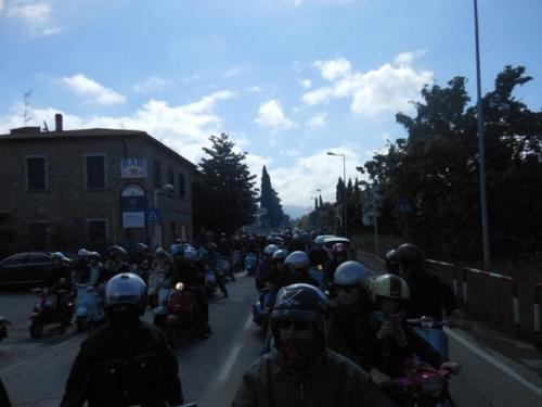 Arezzo (43)