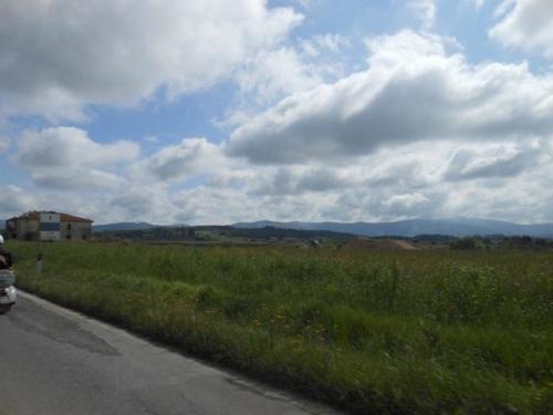 Arezzo (45)