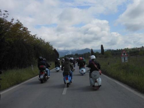 Arezzo (49)