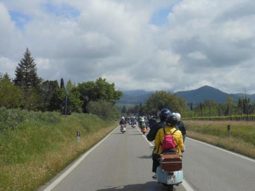Arezzo (53)