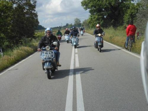 Arezzo (54)