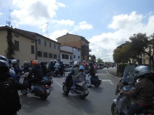 Arezzo (56)