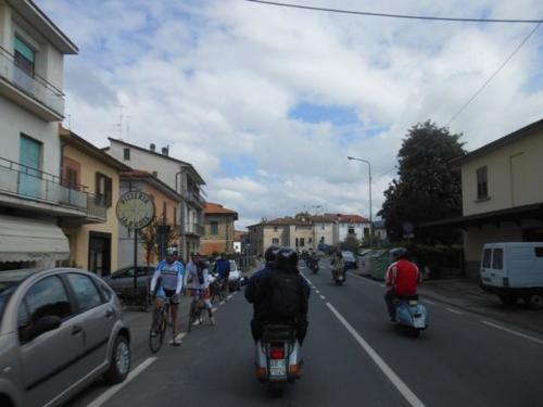 Arezzo (59)