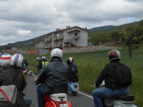 Arezzo (74)