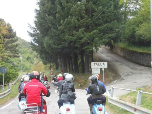 Arezzo (81)
