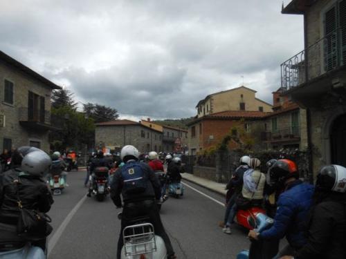 Arezzo (84)