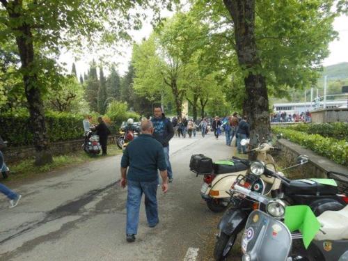 Arezzo (96)