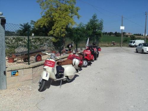 Gavorrano (001)
