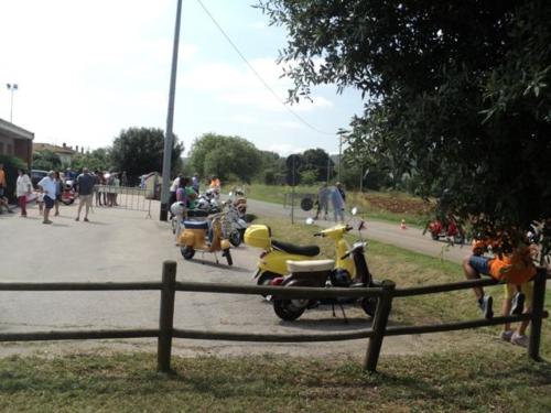 Gavorrano (006)