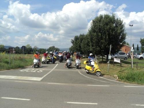 Gavorrano (008)