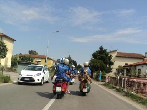 Gavorrano (030)