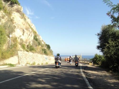 Gavorrano (054)