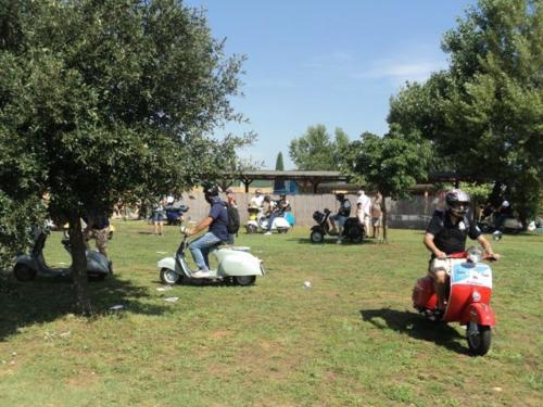 Gavorrano (083)
