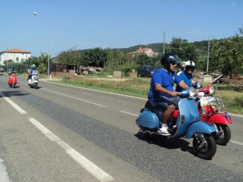 Gavorrano (100)