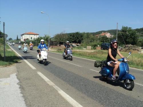 Gavorrano (107)