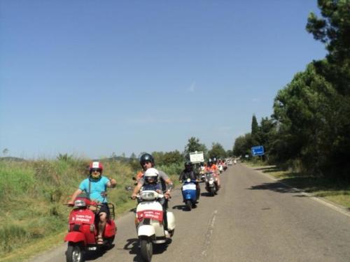 Gavorrano (114)