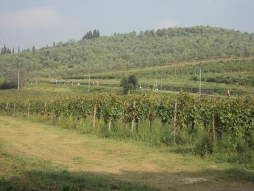 DSC05782