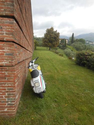 Lucca (100)