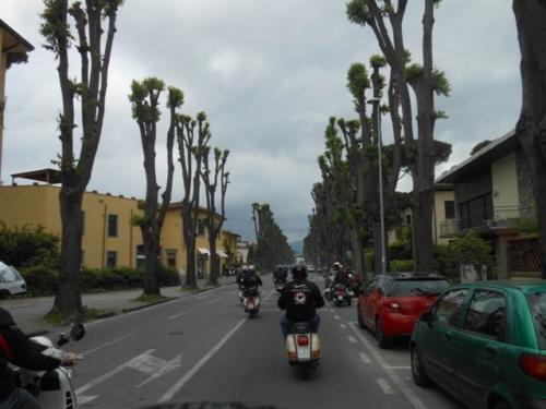 Lucca (24)