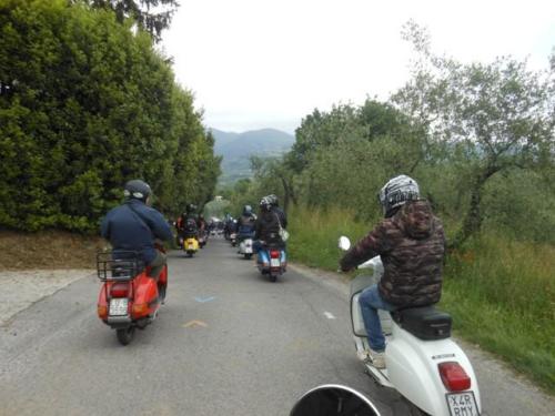 Lucca (38)
