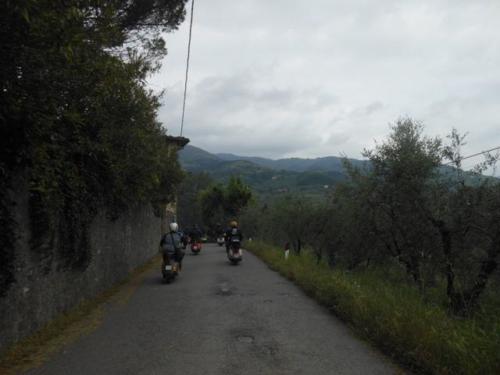 Lucca (41)