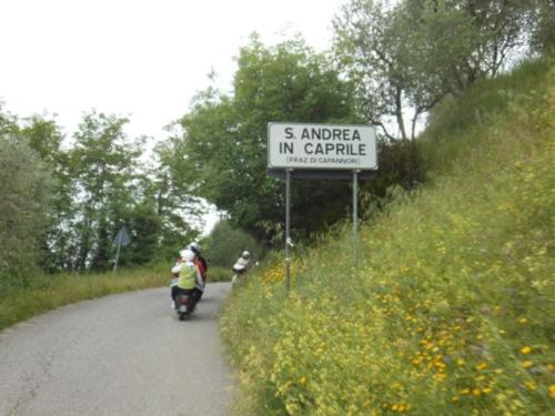Lucca (51)