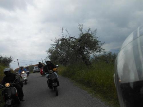 Lucca (61)